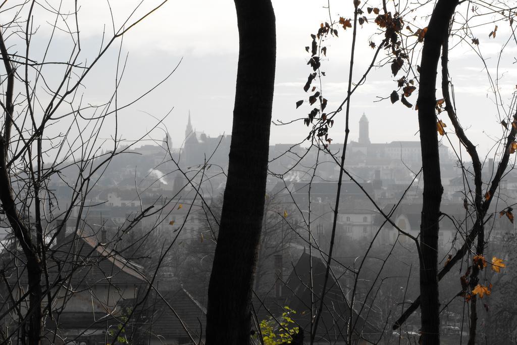 Albergue Season Hill Budapeste